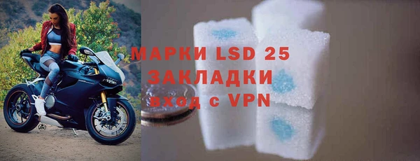 стафф Горняк