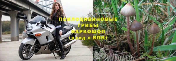 стафф Горняк