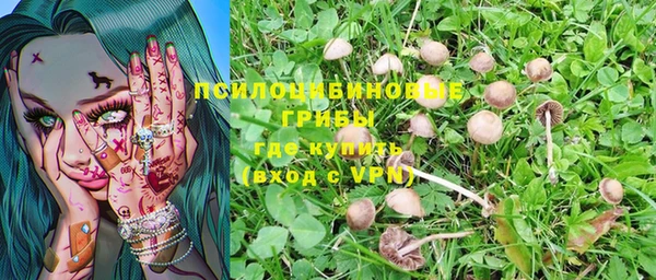COCAINE Горнозаводск