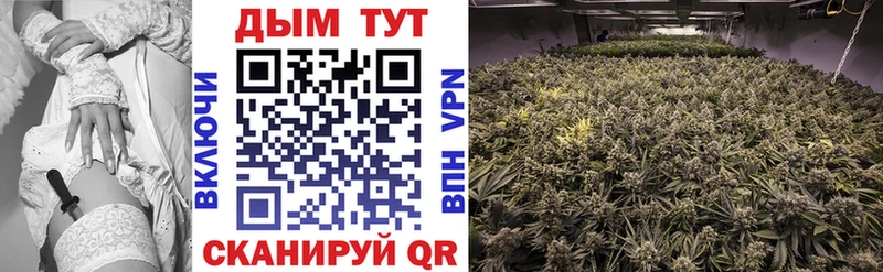 закладки  Черепаново  МАРИХУАНА семена 